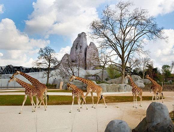 Parc Zoologique de Paris
